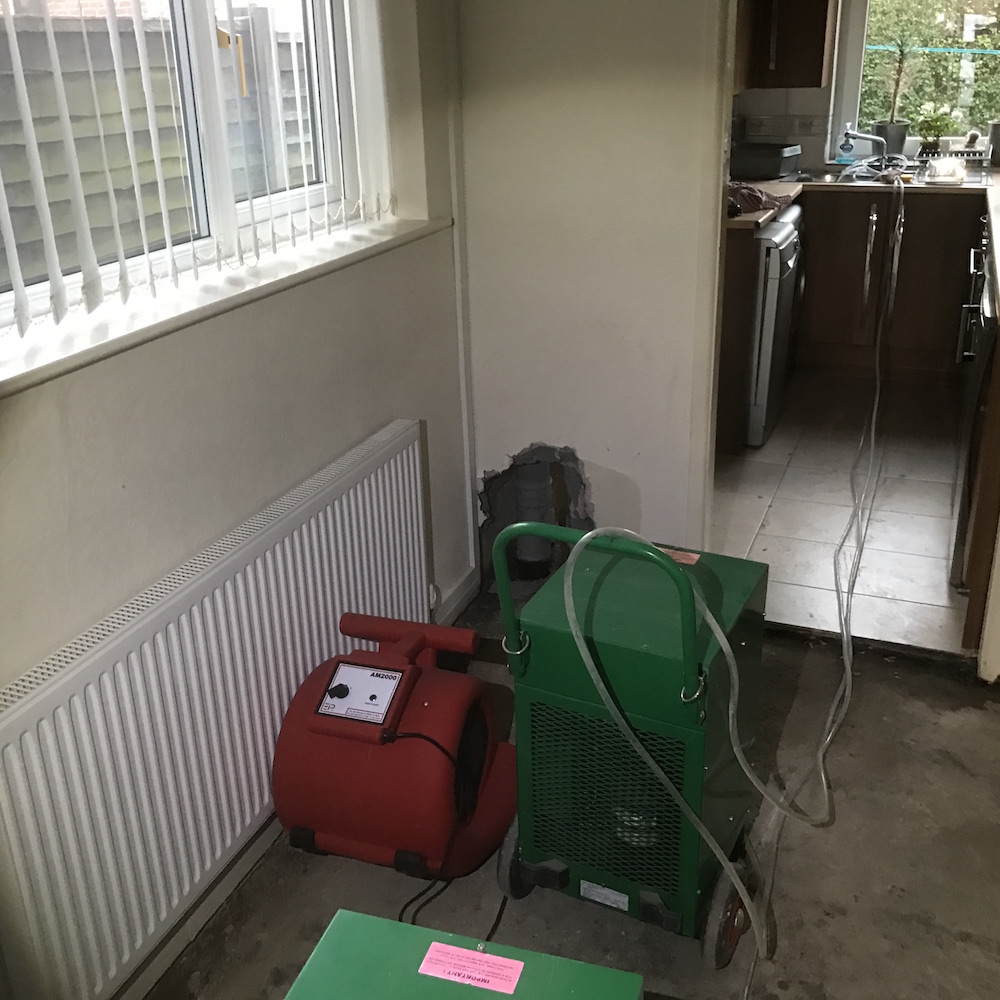 Forced drying with commercial grade air mover and dehumidifier following long term leak and damage to structure.